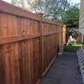 Fence-004.jpg